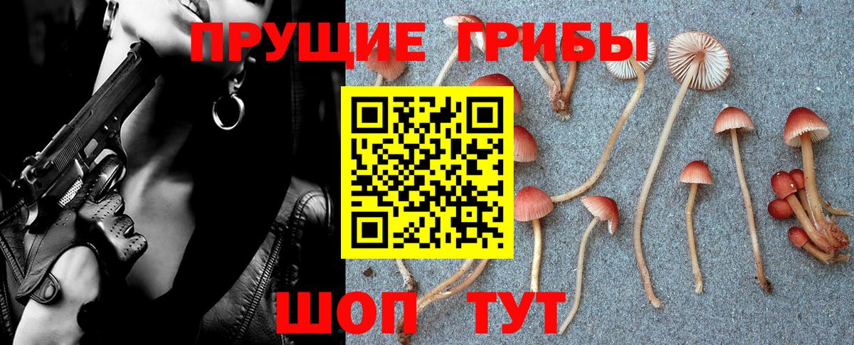 Псилоцибиновые грибы мицелий Урай